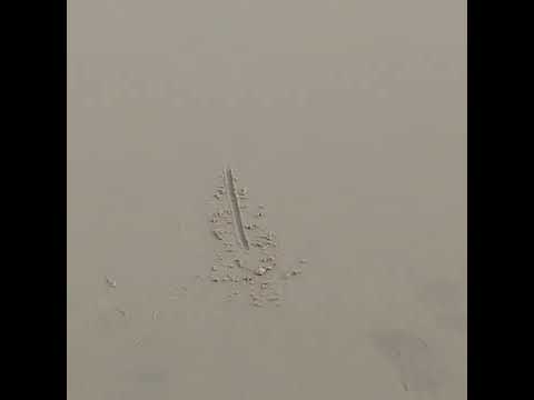 sea beach full enjoy 😉 😎