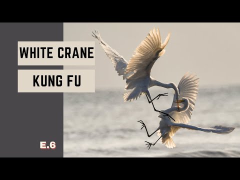 White Crane Style Kung Fu |  Ep. 6  |  Seven Advanced Hand Positions for Striking