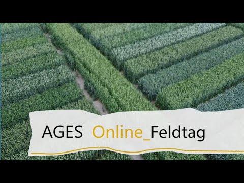 Feldtag 2021 "Fuchsenbigl" // Frühe Weizensorten, Clemens Flamm