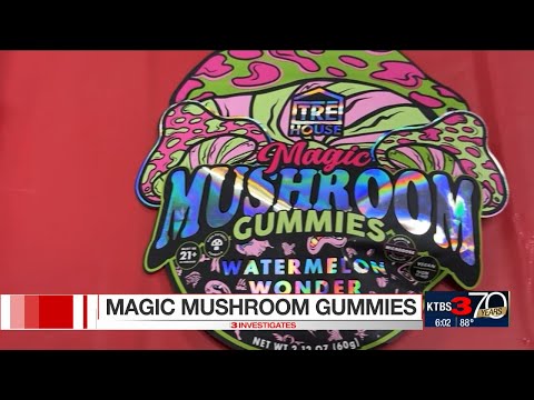 Mushroom Gummies