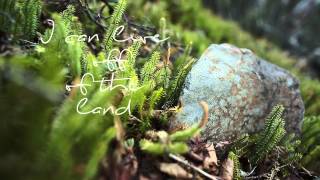 Greenbank - Live off the Land (Official Lyric Video)