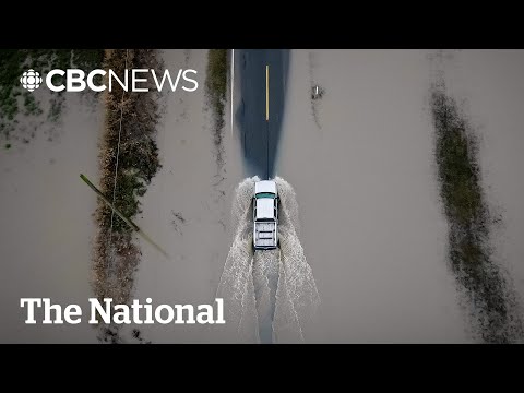Flood warnings issued for B.C.'s Lower Mainland after heavy rain