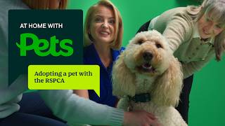 Adopting a pet with the RSPCA | At Home with Pets