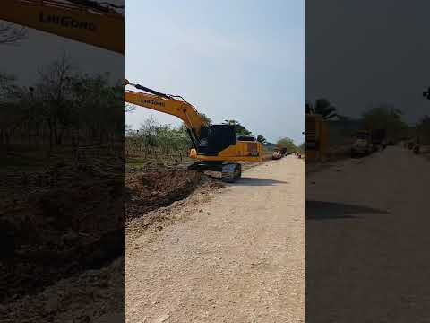 Est  23 Agosto 2025 limpieza y destronque