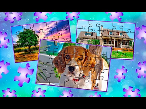 Puzzles Video