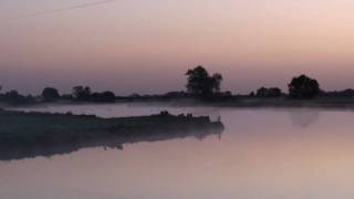 preview picture of video 'Birds on misty lake, dutch polder landscape RansdorperDie Holland'