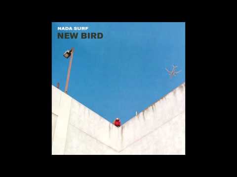 Video thumbnail for New Bird