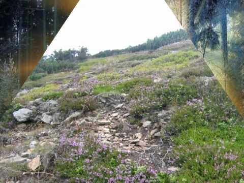 Milan Chladil -Blueberry Hill-Borůvkový vrch-Růžový pahorek