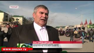 В Грозном прошла сельскохозяйственная ярмарка