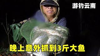 游钓云南遇到下雨天，又冷又饿打完窝就回去，晚上意外抓到3斤大鱼【真男人老黄】