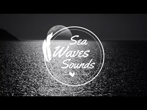 Rain Sound and Rainforest Animals Sound - Relaxing Sleep-3 Hours🐦🐦🐦