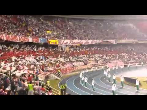 FRBS VAMOS VAMOS TIBURON HOY TE E VENIDO ALENTAR