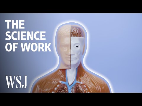 壓力山大！工作壓力如何影響身體健康？(How Job Stress Affects Your Health | WSJ)