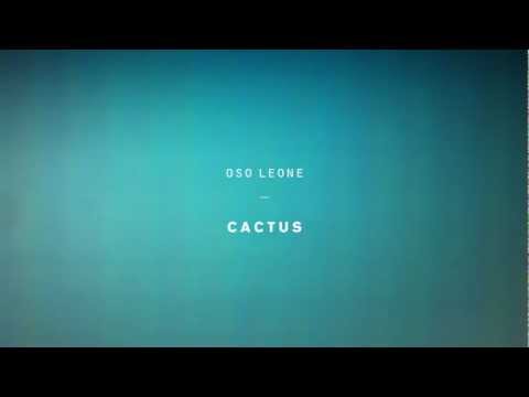 OSO LEONE - Cactus