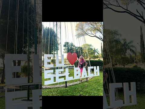 Cidade Selbach 106/497 #riograndedosul #cidadesbrasileiras #cidades #turismo