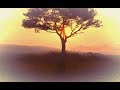 Ray Conniff - Seasons in the sun (HD) (CC)