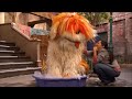 Sesame Street 4214 The Happy Scientists 2010