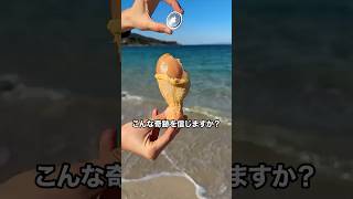 チキンにエアタグを入れて海に投げると衝撃な結末に！ #ラファエル #チキン #エアタグ