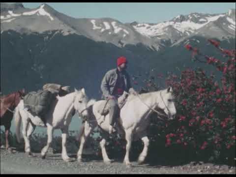 PATAGONIEN - 1000 km mit Pferden durch Südargentinien 83/84