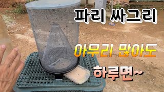 파리 싸그리!!  파리 아무리 많아도 하루면 싸그리 잡는다