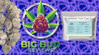  Blueberry Yum Yum - Cake & Caviar T24 - Medical Review