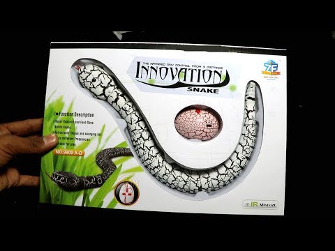 RC Remote control Rattle Snake Unboxing & Remote testing