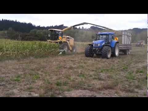 New Holland FX60 and Krone EC 6000FP
