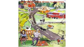 The Magnetic Fields - 100,000 Fireflies