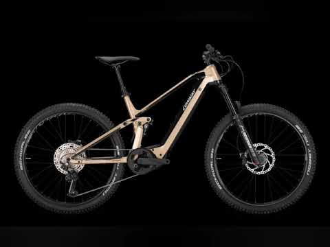 Ebike conway xyron. https://rivenditoreconway.business.site/