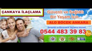 bocek ilaclama ankara