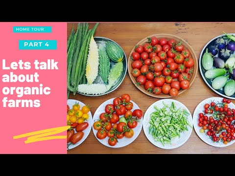 A visit to Organic Terrace Garden of Vijila Selvanose in Muscat - Home Tour - Part 4