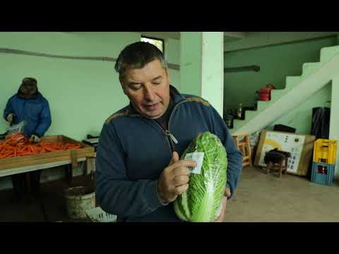 Srpski domaćin ep. 92 11.11.2021. Kisač, Novi Sad, Vlada Vozar, organska proizvodnja