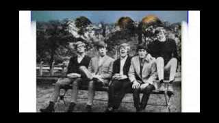 Herman&#39;s Hermits - My Old Dutch  / Show Me The Way To Go Home  (Unedited)