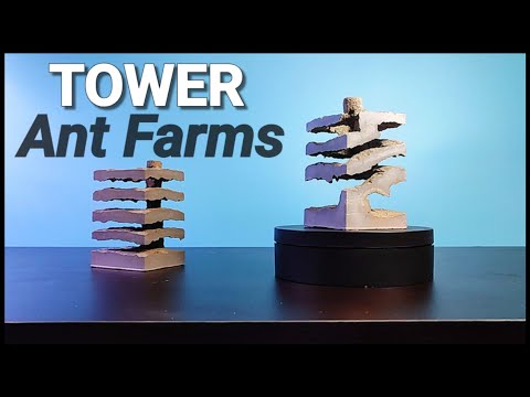 GAVE my ANTS a SKYSCRAPER! | D colony