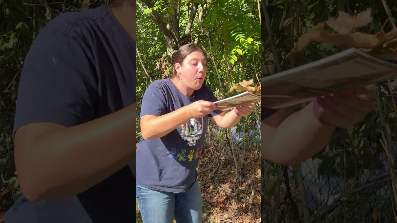 Our Fall 2025 Catalog is out now!