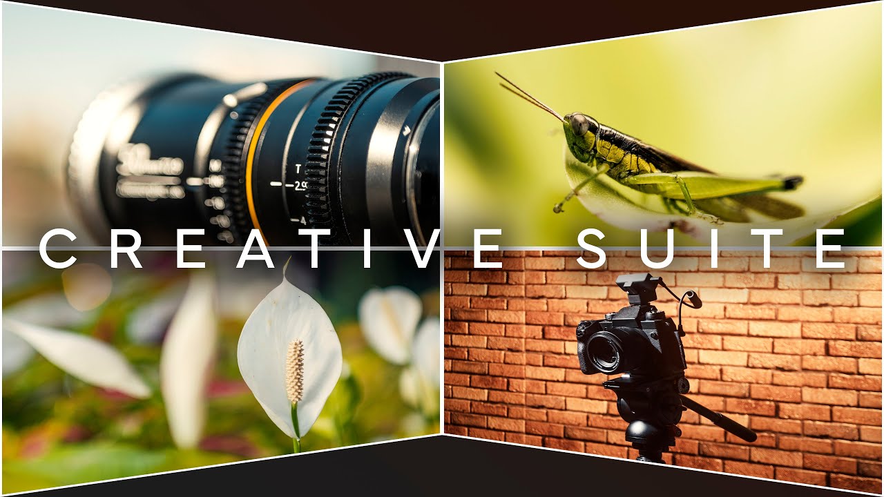 Freepik creative suite overview: Creating images, videos and designs with AI