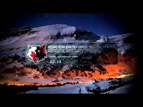 Katy Perry Vs. Martin Garrix & Jay Hardway - Wizard Roar (Idan Ben Yaakov Mashup)