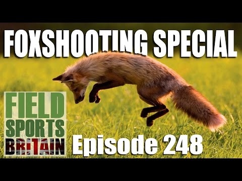 Fieldsports Britain – Foxshooting Special Fieldsports Britain – Foxshooting Special