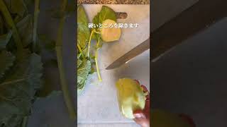 【コールラビ活用法その1】10分で一品！#japanischesessen #japanesefood #きんぴら #コールラビ #人参 #和食 #kohlrabi  #washoku #gohan