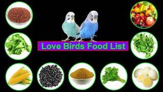 Love Birds Food || Lovebirds Food List