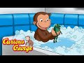 George Loves Bubble Baths Curious George Kids Cartoon Kids Movies