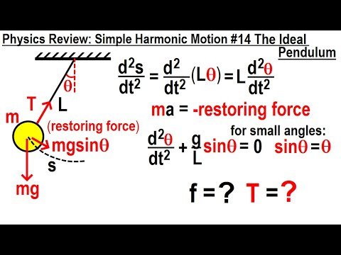 Physics Review Simple Harmonic Motion 1 The Basics