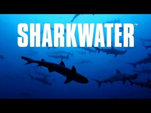 Sharkwater (2007) Trailer