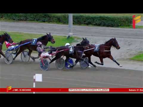 VI corsa del 21 gennaio 2023  - 5 anni ed oltre - Cat D/C   Metri 1600