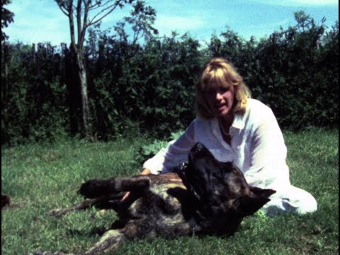 "Le Nouvel hiver" (1991) de Gérard Courant