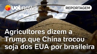 Agricultores dizem a Trump que China trocou soja dos EUA por brasileira | Graciliano Rocha