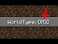 Playing Minecraft In Ohio