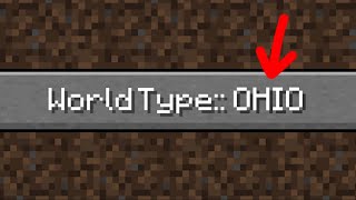 playing minecraft in ohio 💀