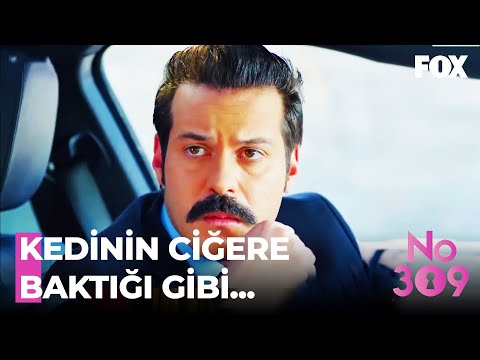 Samet, Nergis ve Koray'ı İzliyor - No: 309 45. Bölüm