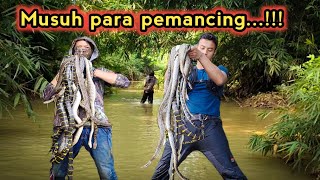 Download lagu KANTONG SAMPAI PENUH || SATU POHON PULUHAN ULAR !!! mp3 Download lagu KANTONG SAMPAI PENUH || SATU POHON PULUHAN ULAR !!! mp3
